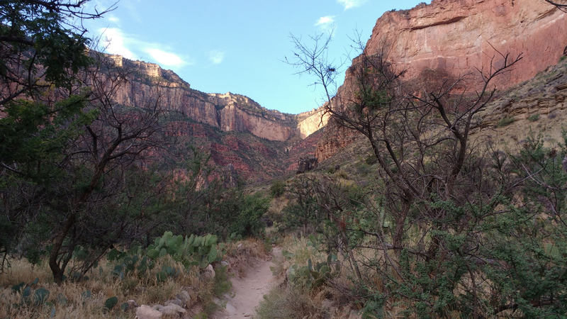 Illustration for article titled Grand Canyon's Green Jeep Tours